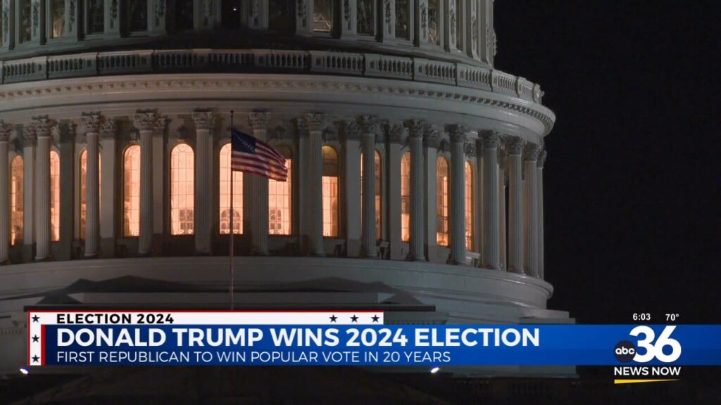 Election 2024 Analysis Of Results