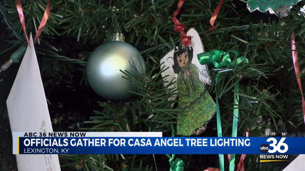 Casa Angel Tree