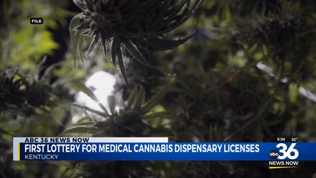 First Lottery For Medical Cannabis Dispensary Licenses 112524
