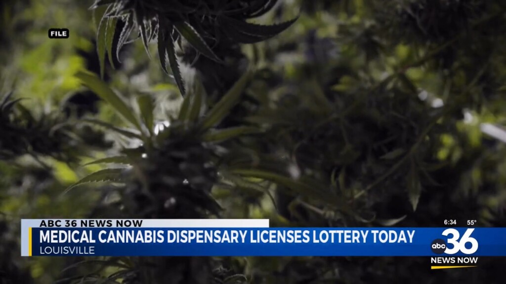 Medical Cannabis Dispensary License Lottery - WTVQ