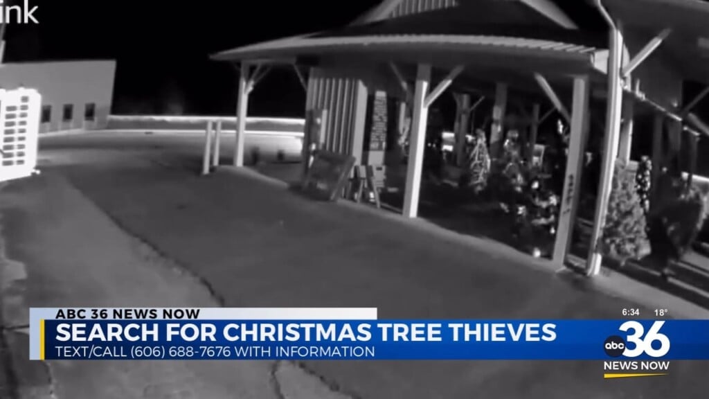 Monticello Police Looking For Christmas Tree Thieves