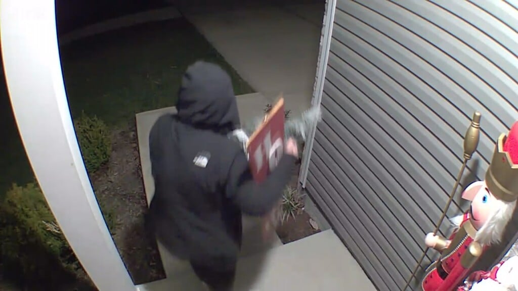 Pkg Theft