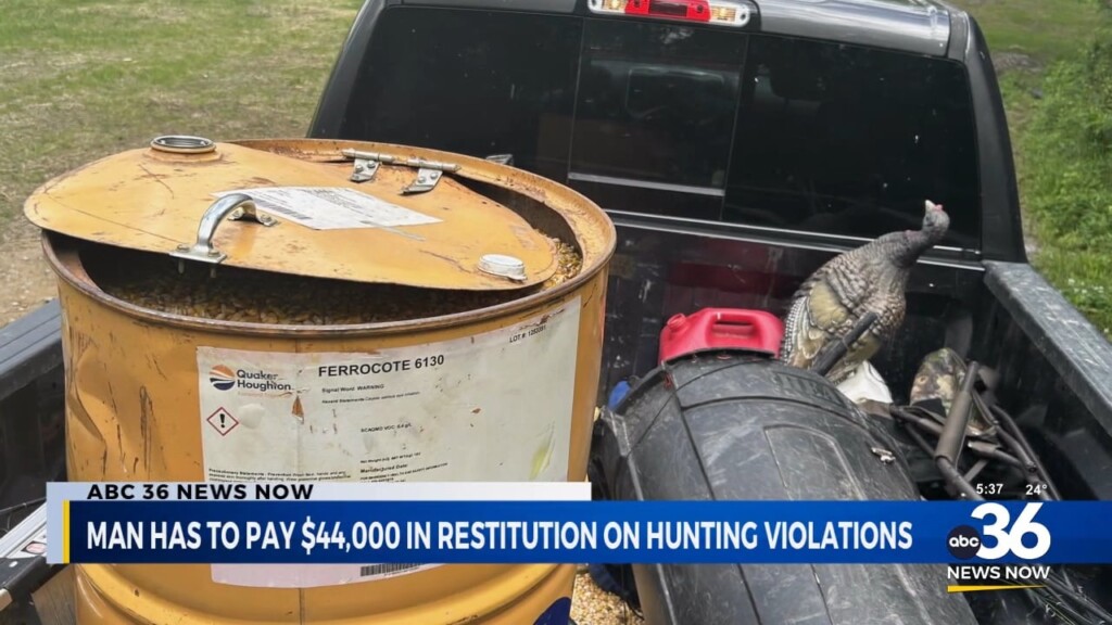 Man Ordered To Pay $44,000 In Restitution For Hunting Violations