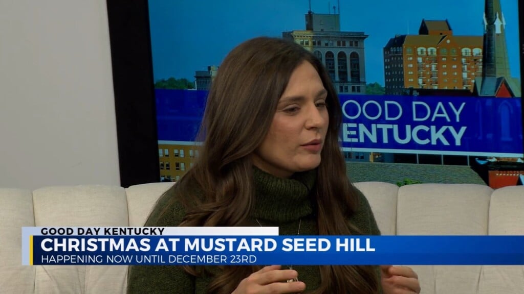 Christmas At Mustard Seed Hill
