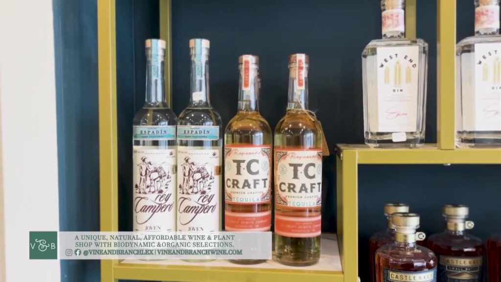 Holiday Shop Local: Vine And Branch