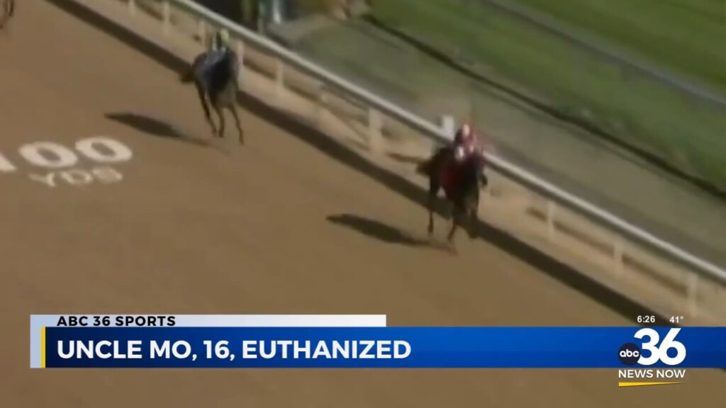 Uncle Mo Euthanized At 16 Years Old After Injury