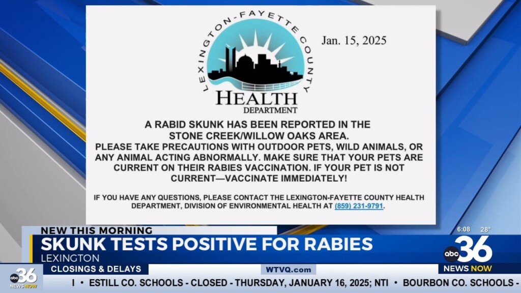 Skunk Tests Positive For Rabies In Lexington