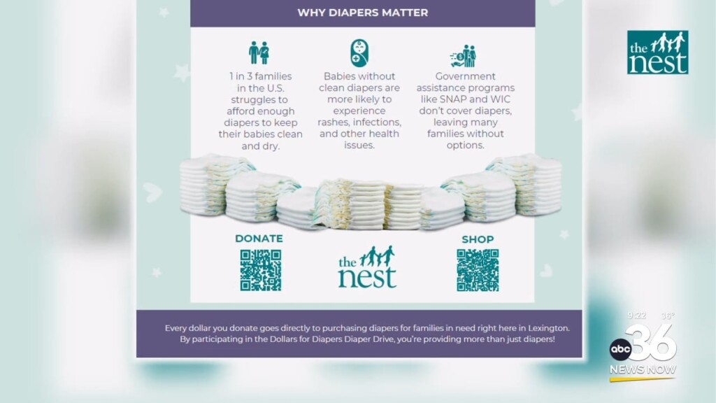 The Nest Diaper Drive