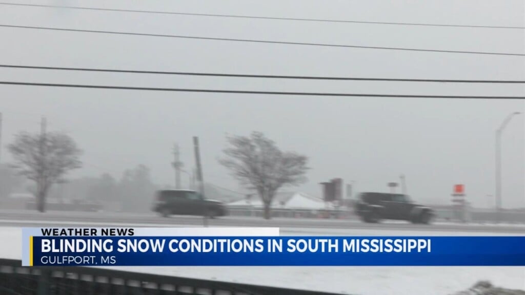 Blinding Snow Conditions In South Mississippi