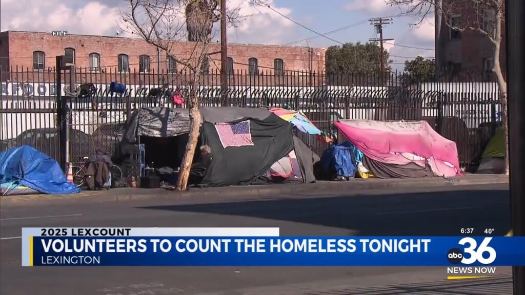 Volunteers To Count Homeless In Lexcount 2025