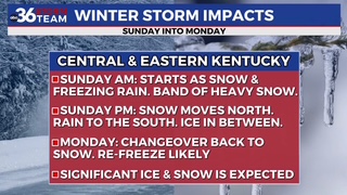 Winter Storm Impacts