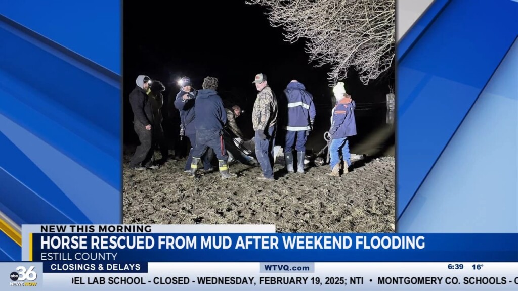 Estill County Horse Rescued From Mud After Floods