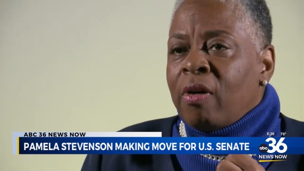 Pamela Stevenson Making A Move For U.s. Senate