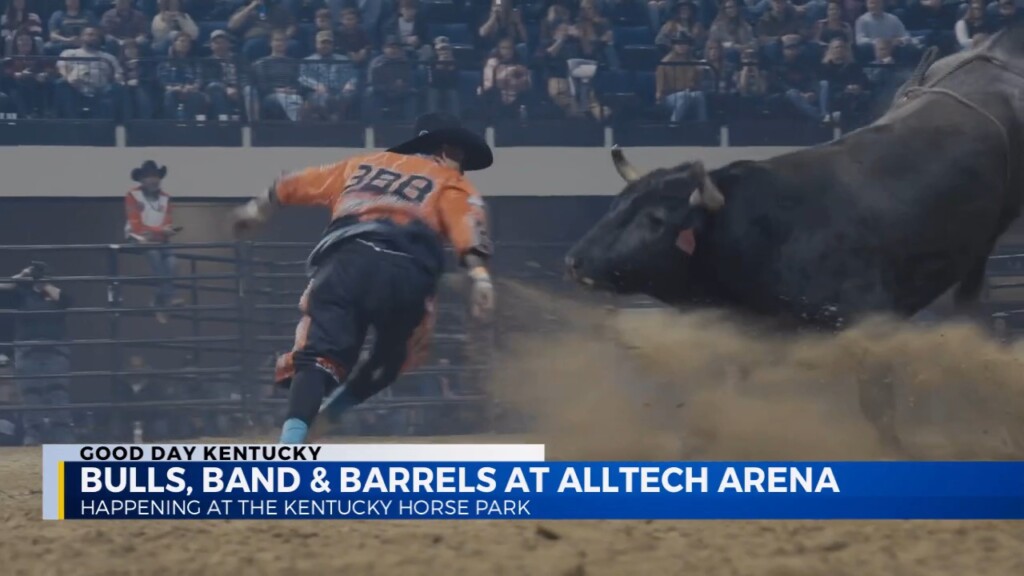 Bulls Band And Barrels