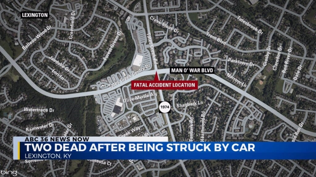 Two People Dead After Being Struck By A Car