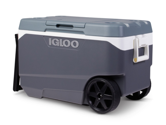 Igloo 1