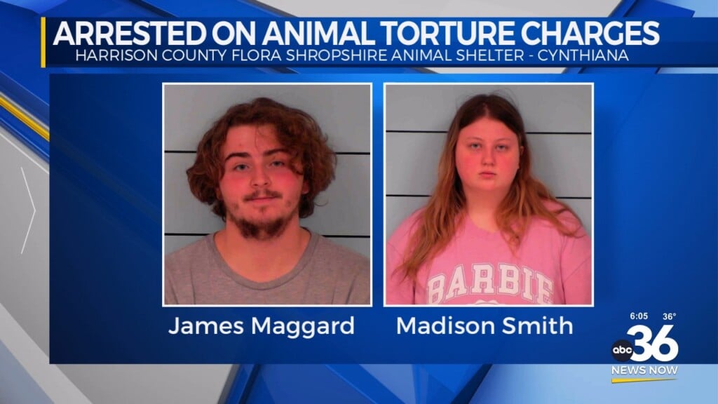 Two Teens Arrested On Animal Torture Charges