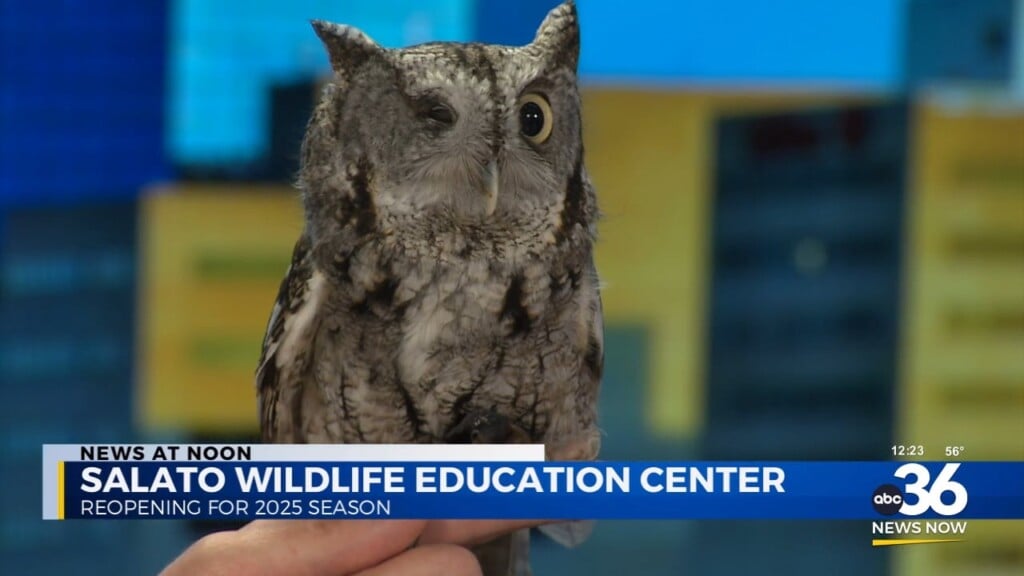 Salato Wildlife Education Center In Studio With A Couple Special Guests Of Their Own