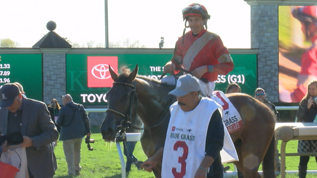Bg Stakes