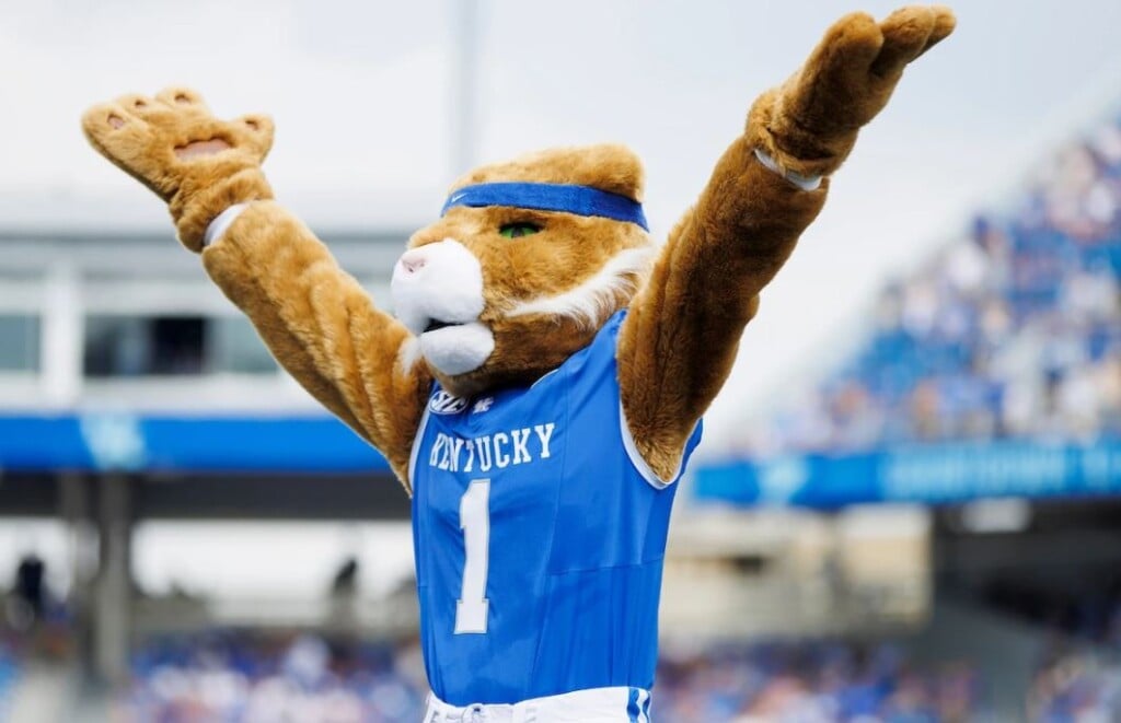 Wildcat