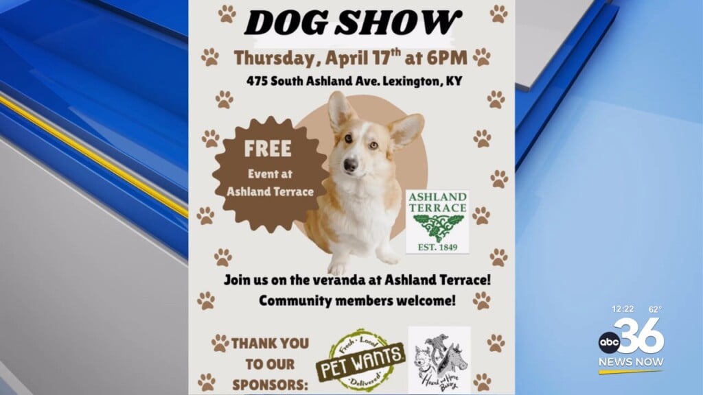 Come On Out To The 16th Annual Ashland Terrace Dog Show