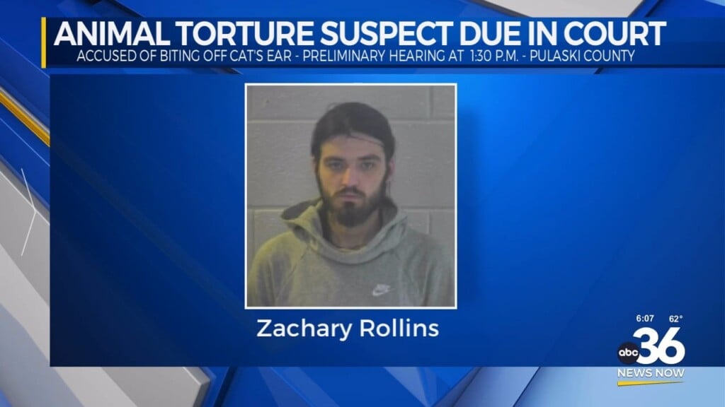 Animal Torture Suspect Due In Court