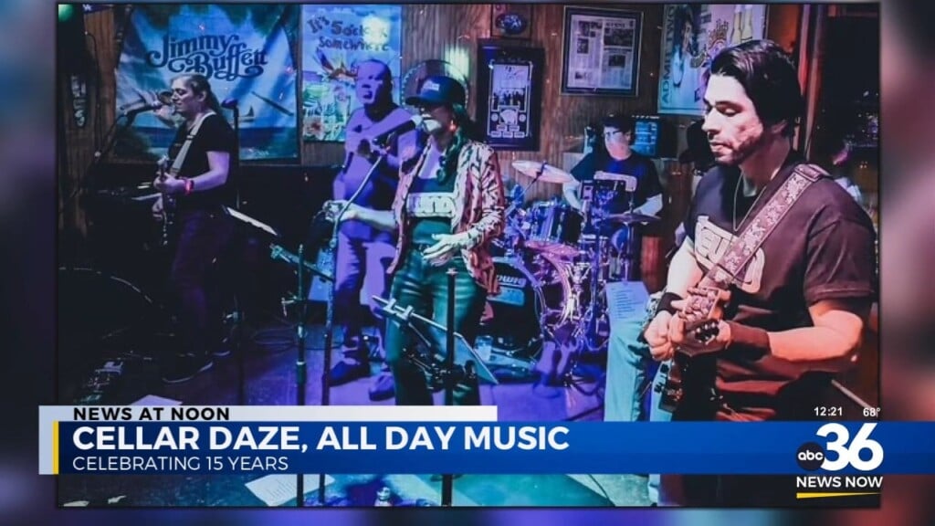 Cellar Daze