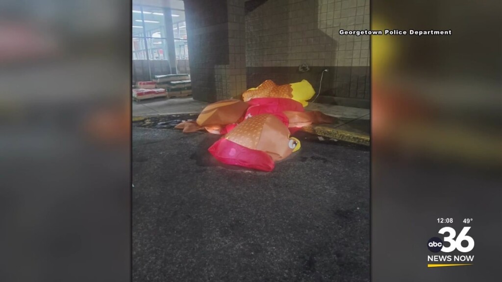 Georgetown Rural King's Beloved Inflatable Chicken Deflated