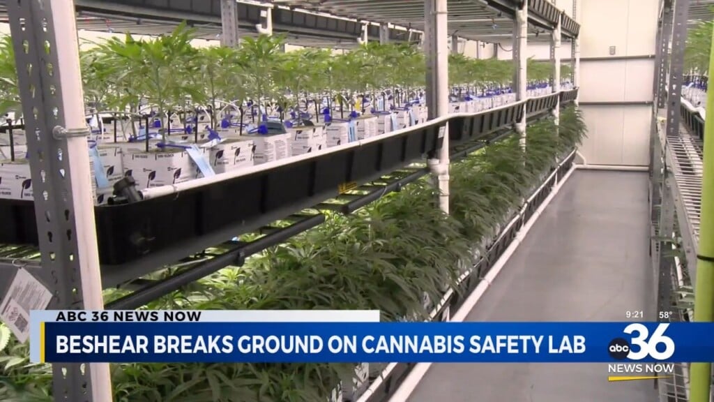 Beshear Breaks Ground On Cannabis Safety Lab