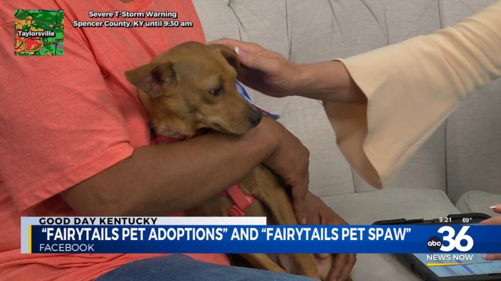 Fairy Tails Brings Chloe To The Studio!