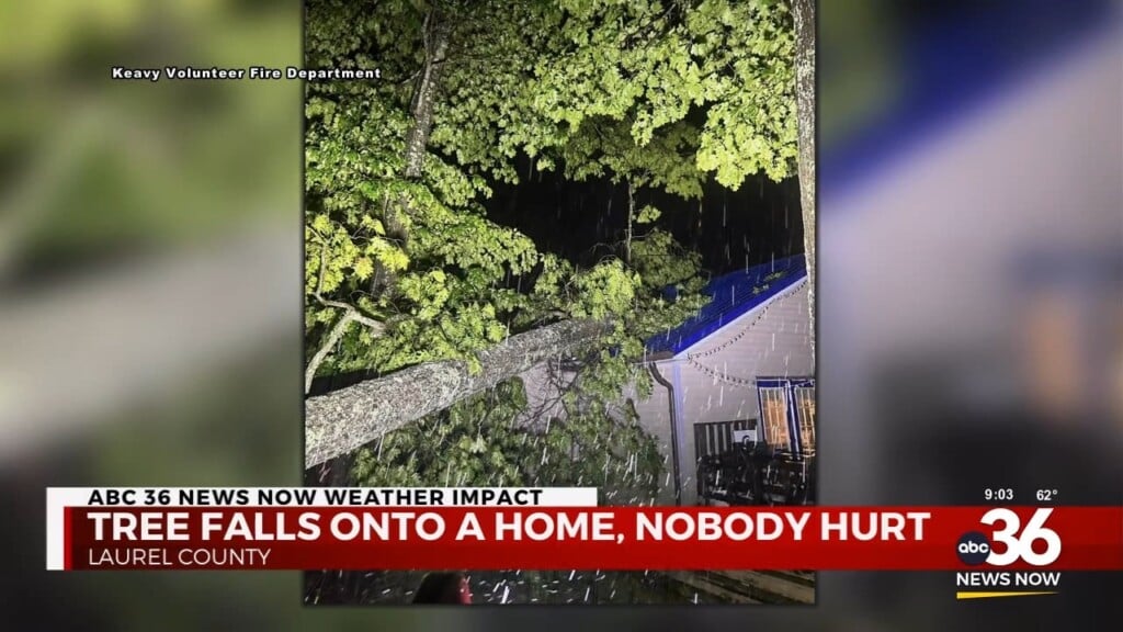 Nobody Hurt After A Tree Falls Onto A Home In Laurel County
