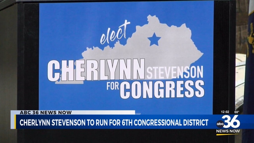 Cherlynn Stevenson To Run For 6th Congressional District