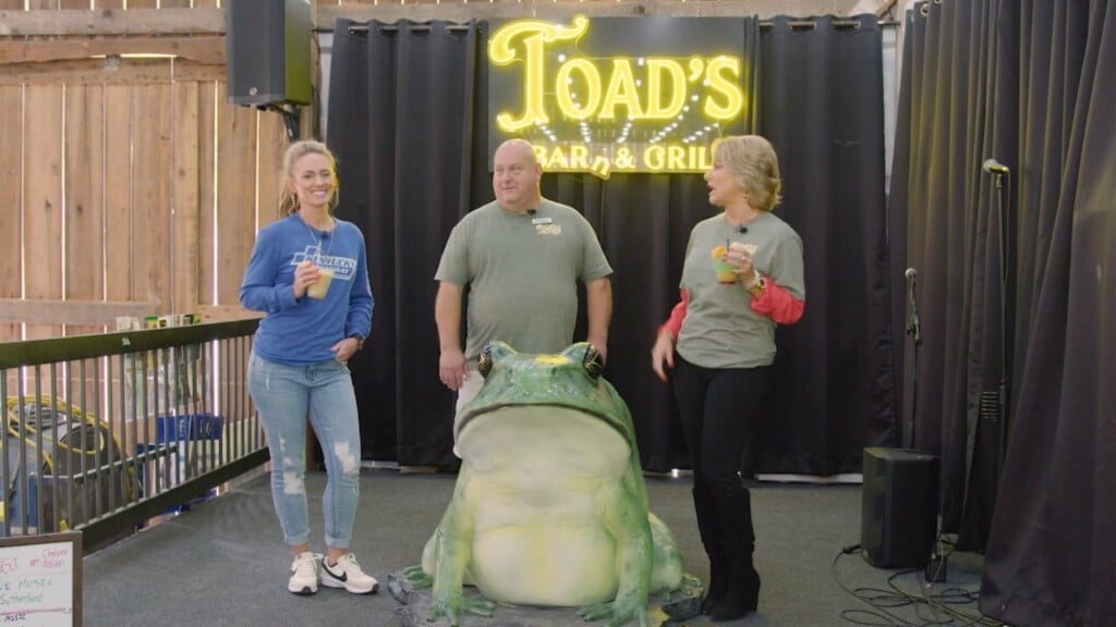 Traveling With Teri: Toads Bar And Grill