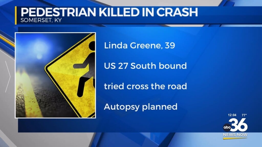 Pedestrian Killed In Crash