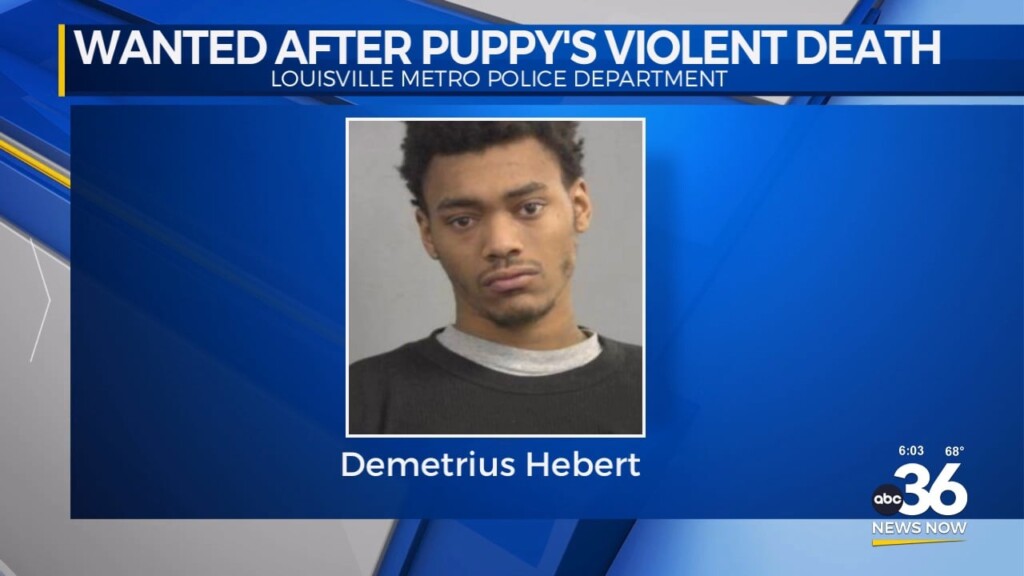 Louisville Authorities Searching For Felony Dog Torture Suspect