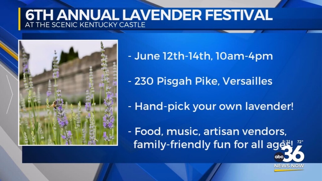 The Sixth Annual Lavender Festival Is Underway At The Kentucky Castle