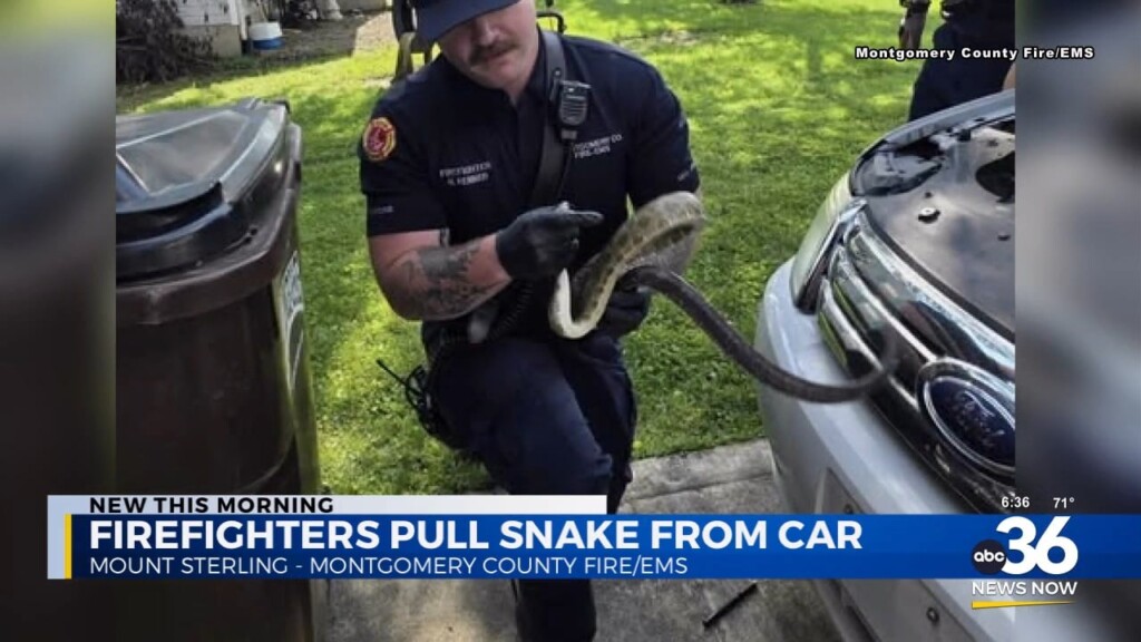 Mt. Sterling Firefighters Remove Snake From Car