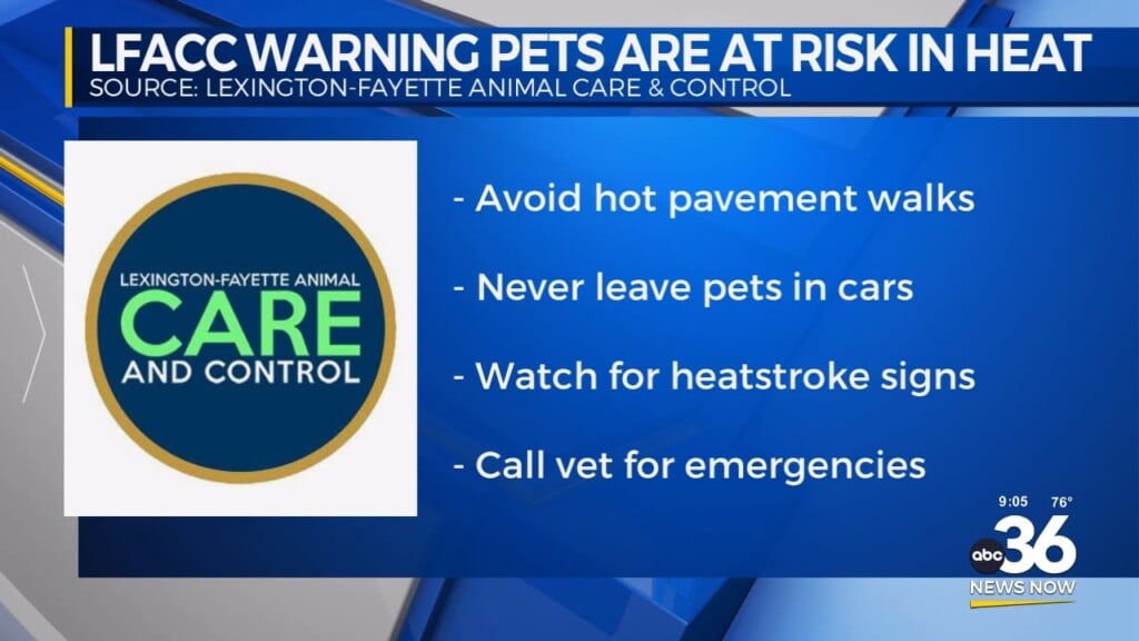 Lfacc Warning Pets Are At Risk In Heat