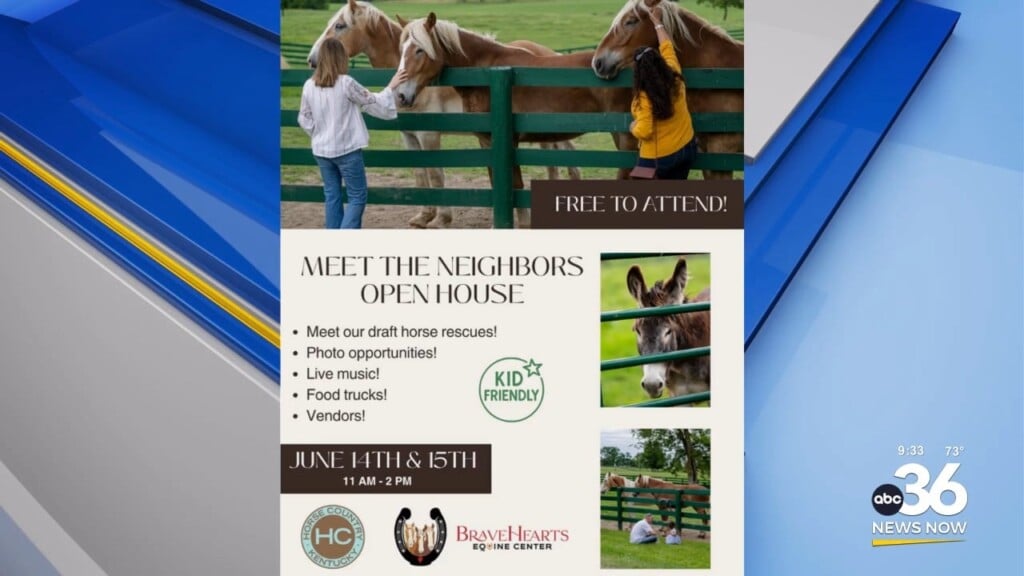 Public Open House At Braveheart's Equine Center