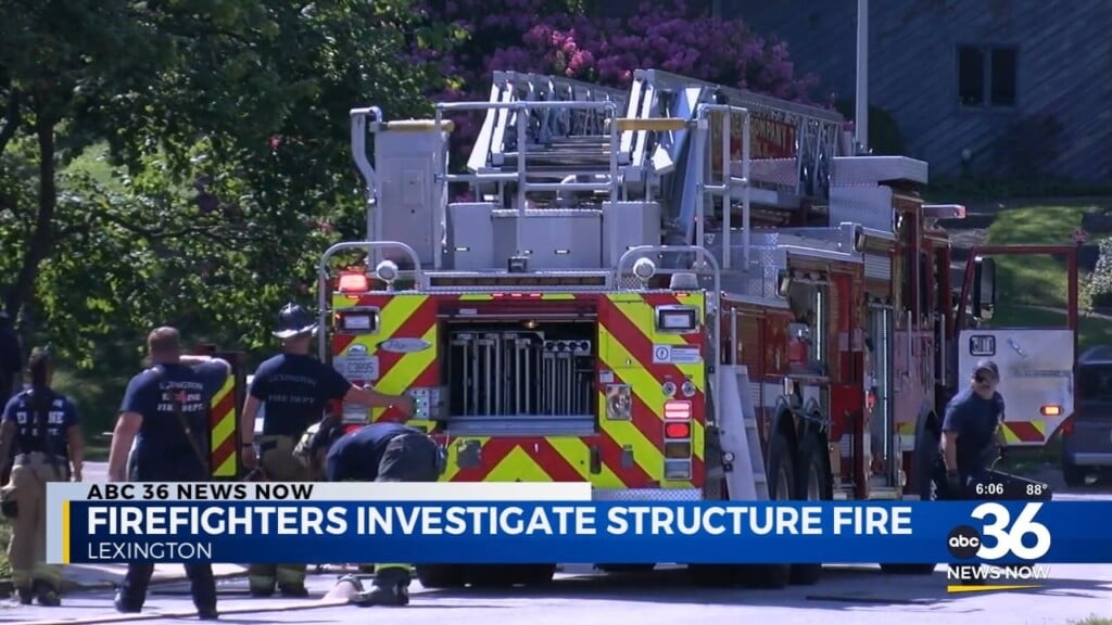 Firefighters Investigate Structure Fire
