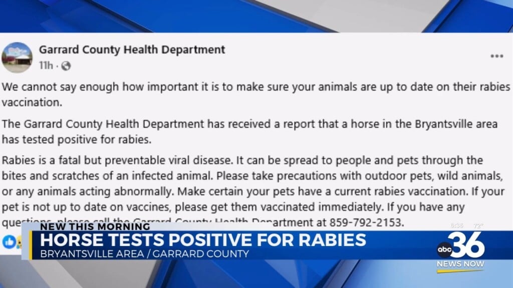Horse Tests Positive For Rabies In Garrard County