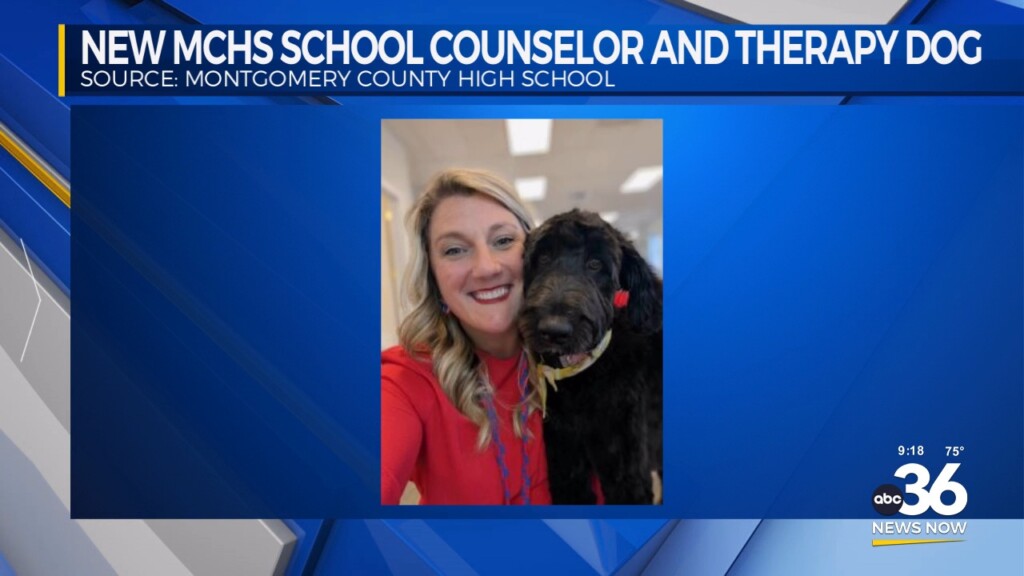 New Mchs School Counselor And Therapy Dog