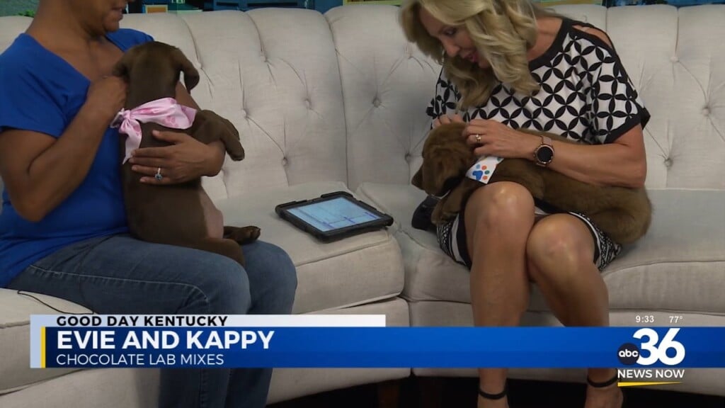 Evie And Kappy Steal Hearts In Studio