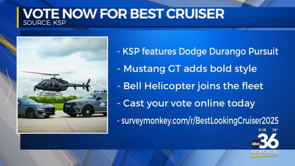 Vote Now For The Best Cruiser