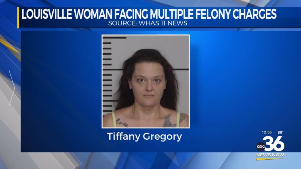 Louisville Woman Faces Multiple Felony Charges