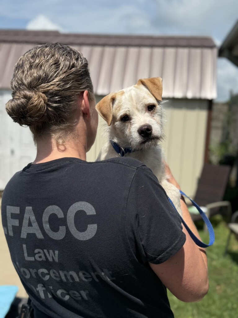Animal Care And Control 1