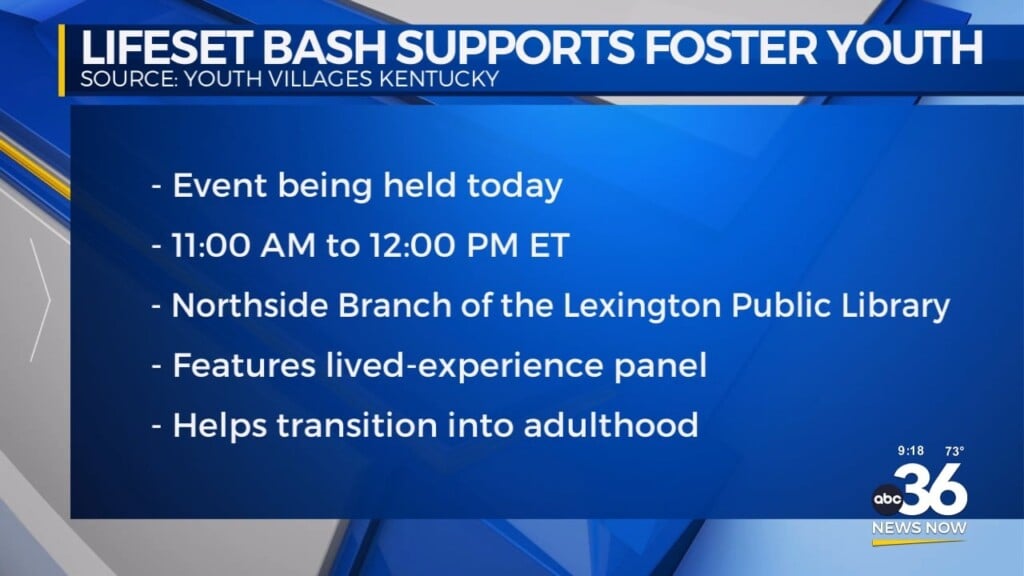 Lifeset Bash Supports Foster Youth