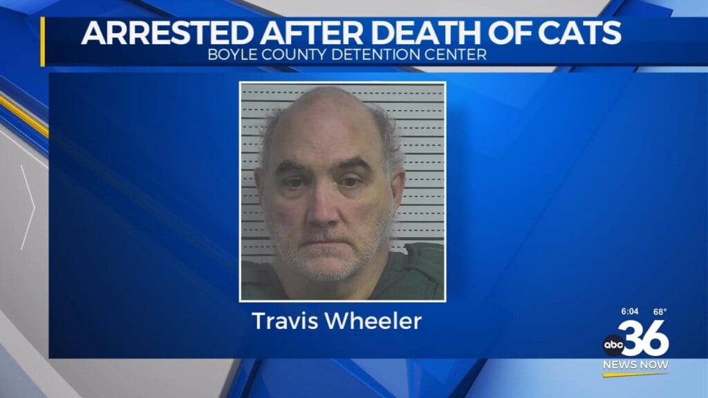 Man Charged With Animal Cruelty In Boyle County After Death Of Two Cats