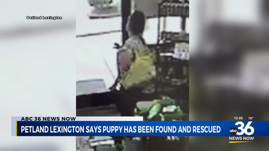 Woman Facing Charges In Stolen Puppy Case