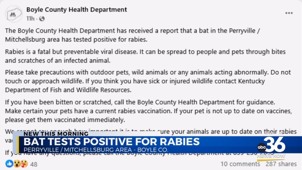 Bat Tests Positive For Rabies In Boyle County